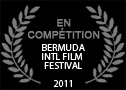 Bermuda International Film Festival